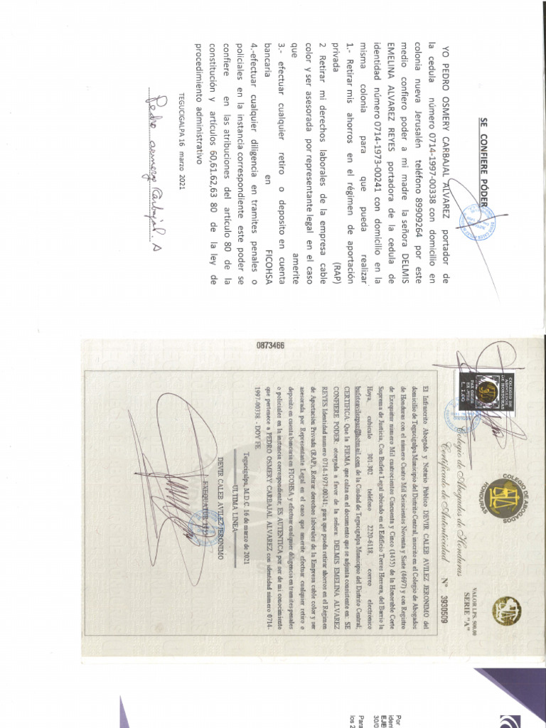 Scaner | PDF