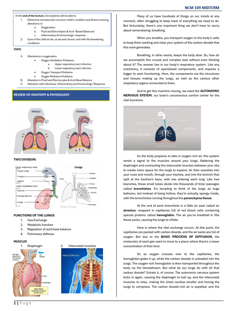 Understanding Respiratory Distress in Children | PDF | Lung ...
