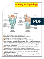 Larynx Recap 1.1