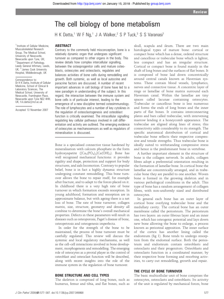Cell Biology of Bone Metabolism | PDF | Bone | Osteoblast