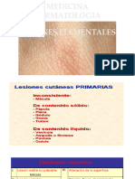 Clase 2. Lesiones Elementales de la piel -primarias parte 1