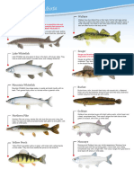 Pg1-2-Sport-Fish-Identification