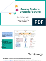 4-dr Yetty Sensori System