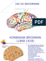 Áreas de Brodmann