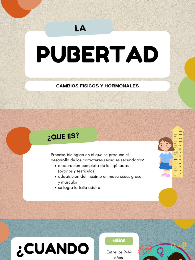 Cambios en la Pubertad: Físicos y Hormonales | PDF | Hormona ...