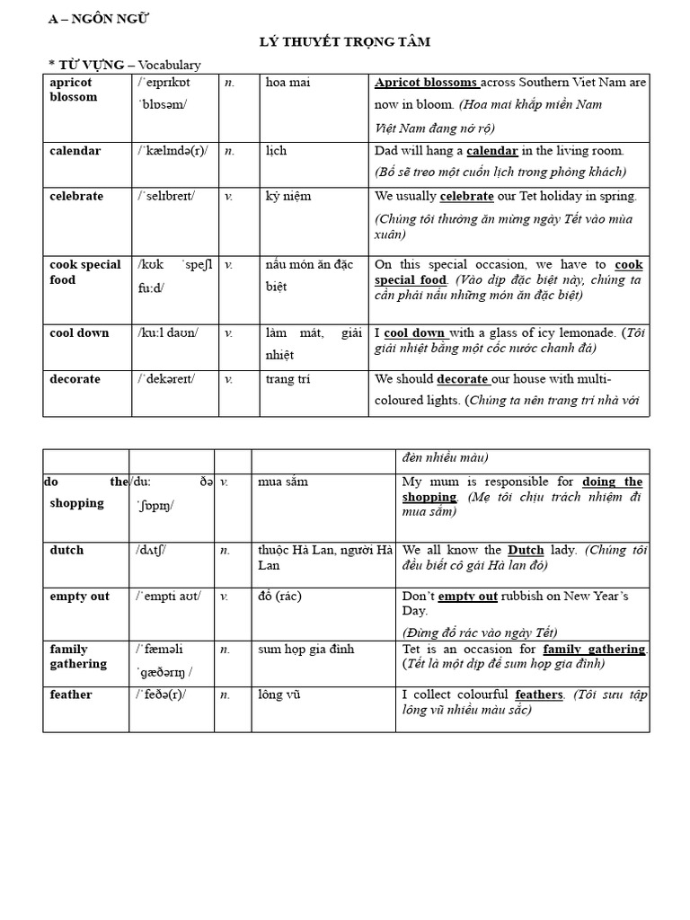 Unit 6 Our Tet Holiday Pdf
