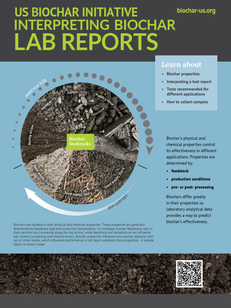 USBI_Fact_Sheet_DFB_BiocharLabReports | PDF | Soil | Fertilizer