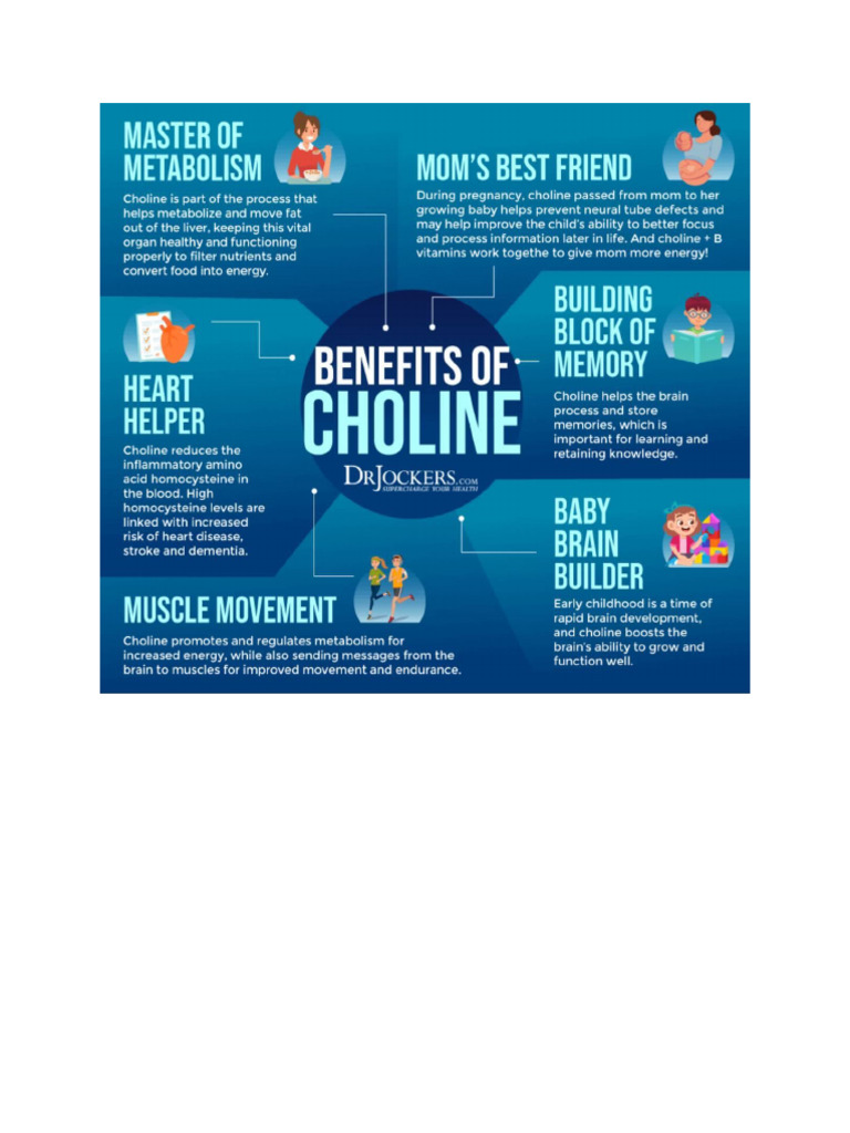 Choline Benefit PDF