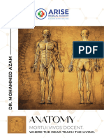 Anatomy Id - Final Merged