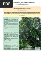 Download Pterocarpus-narra by djamilaha SN72918869 doc pdf
