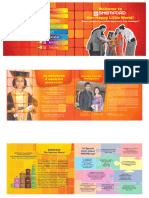 Shemford Brochure PDF