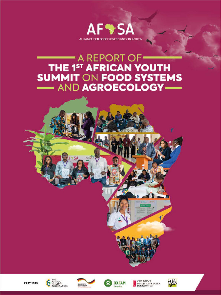 AFRICAN YOUTH SUMMIT Report 2023 | PDF | Agroecology | Sustainability