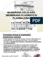 Membrana Plasmatică