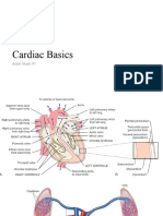 Cardiac Basics Student Copy. 2