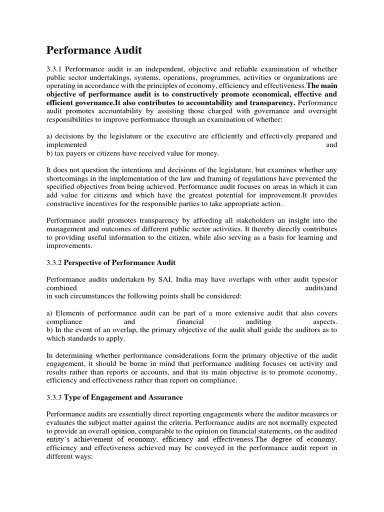 Performance Audit 20200728230239 | PDF | Audit | Risk