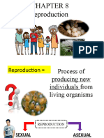 IGCSE BIOLOGY: Reproduction