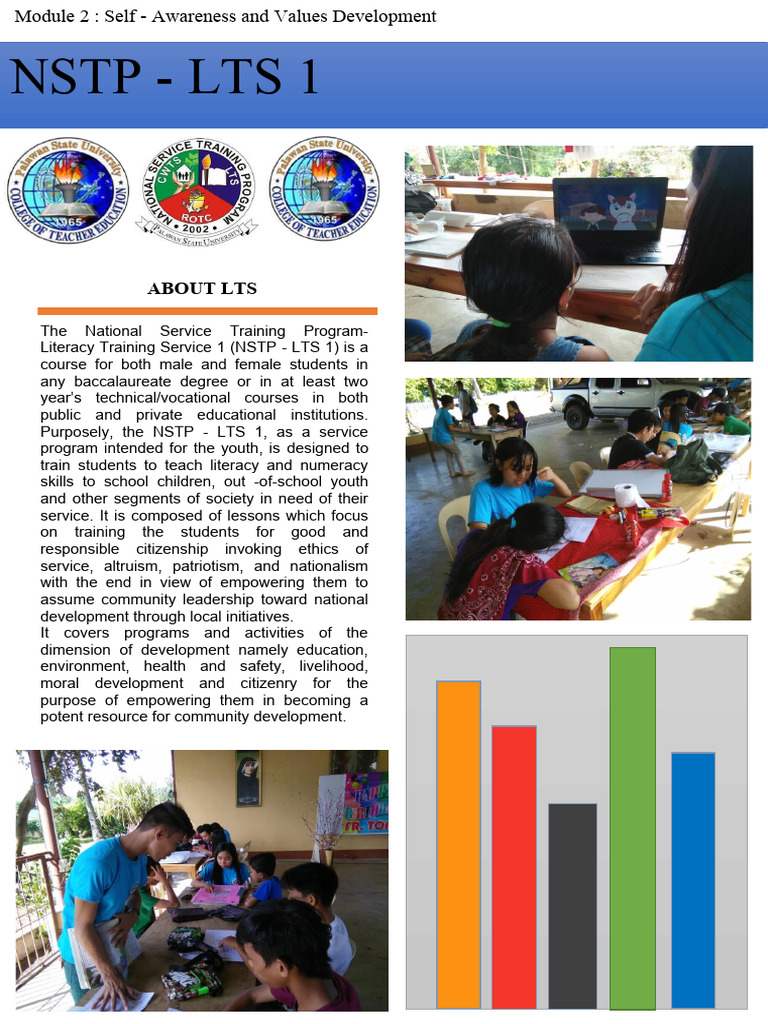 Self-Awareness and Values in NSTP | PDF | Self Awareness | Emotions