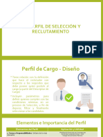 11. Perfil de Cargo - Reclutamiento (1)