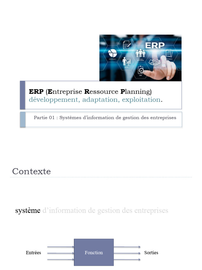 ERP : Développement et Adaptation | PDF | Progiciel de gestion intégré ...