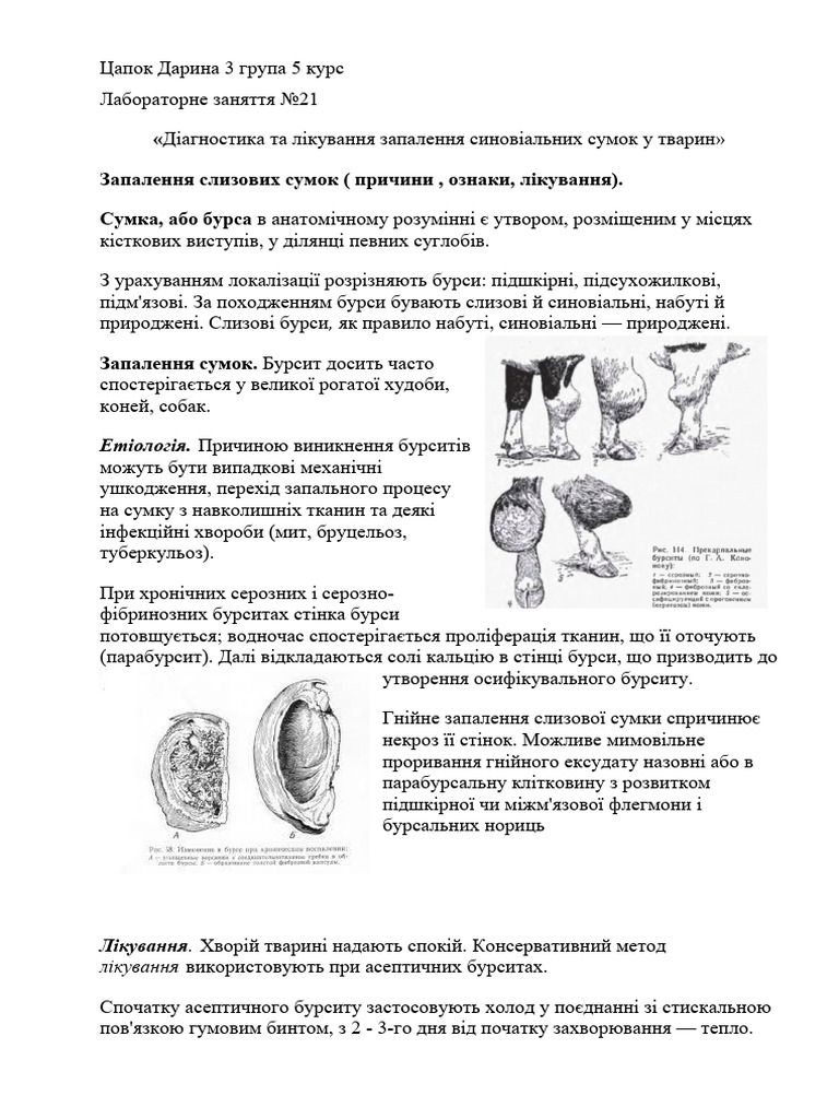 Лаб.роб.21 Хір | PDF
