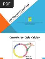 Controle Do Ciclo Celular