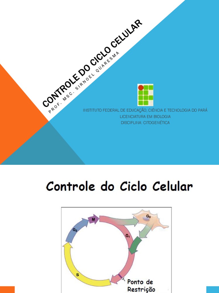 Controle do Ciclo Celular e Apoptose | PDF | Ciclo de célula | Apoptose