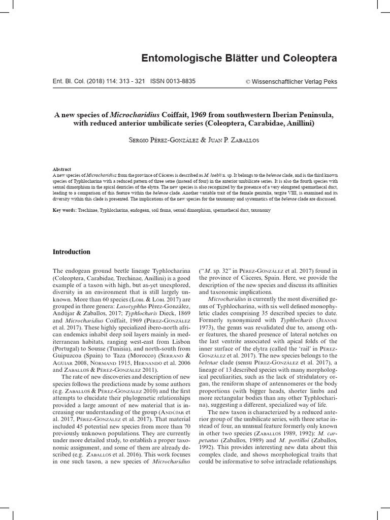 PerezGonzalez and Zaballos 2018 Microcharidius Loebli PDF