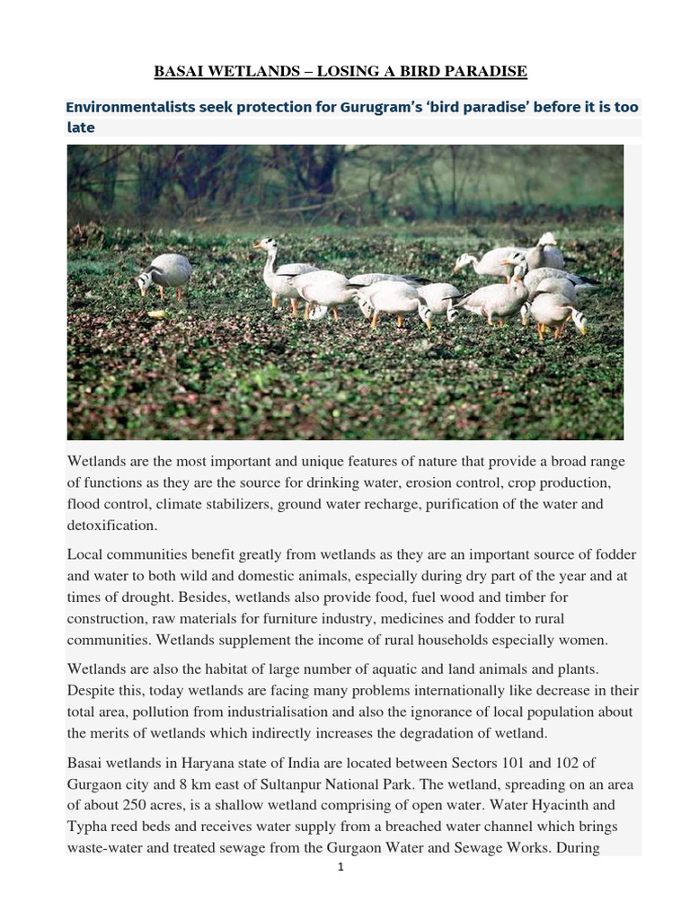 Basai Wetlands | PDF | Wetland | Earth Sciences