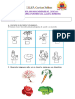 Examen Cienci y Ambient