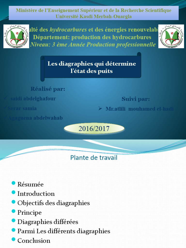 Diagraphies des puits : principes et applications | PDF | Forage