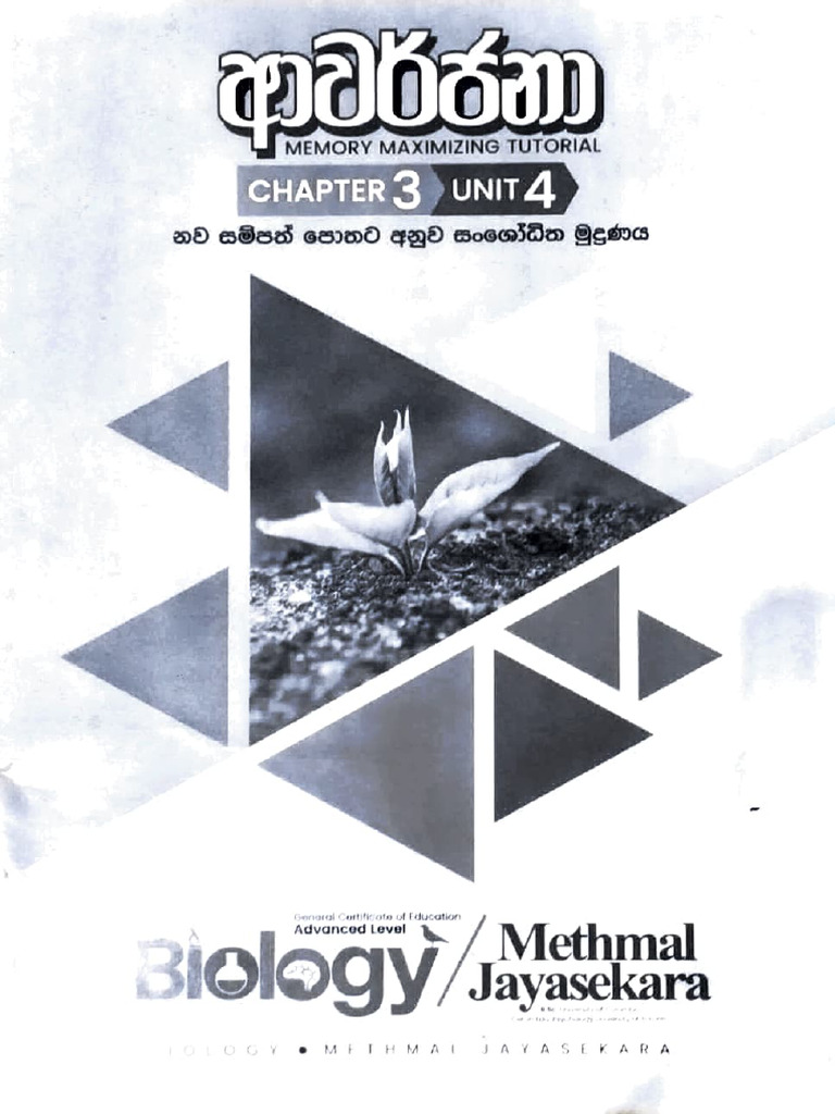 QBet Casino Interface