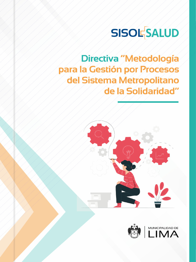 Metodología de Gestión por Procesos SISOL | PDF | Planificación | Business