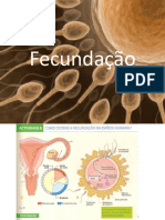 5- Fecundação