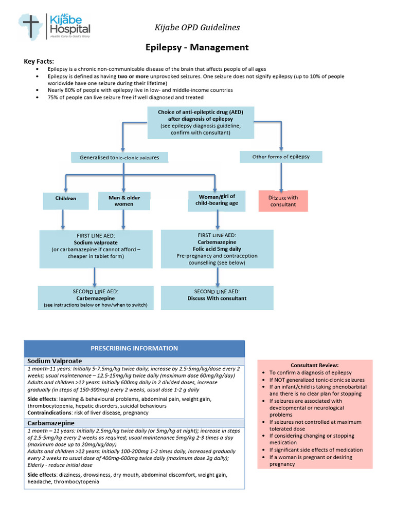 PEDIATRIC EPILEPSY TREATMENT GUIDELINES visual data 2