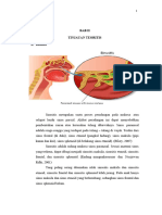 6. BAB II sinus