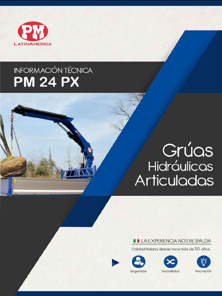 Ficha Tecnica PM 24 PX | PDF