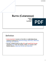 Burns Overview