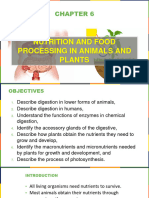 Nutrition and Food Processing in Animals and Plants