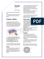 Resumo Membrana plasmatica