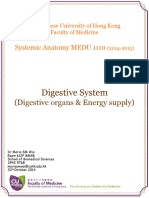 9 - Digestive System