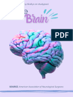 The Brain