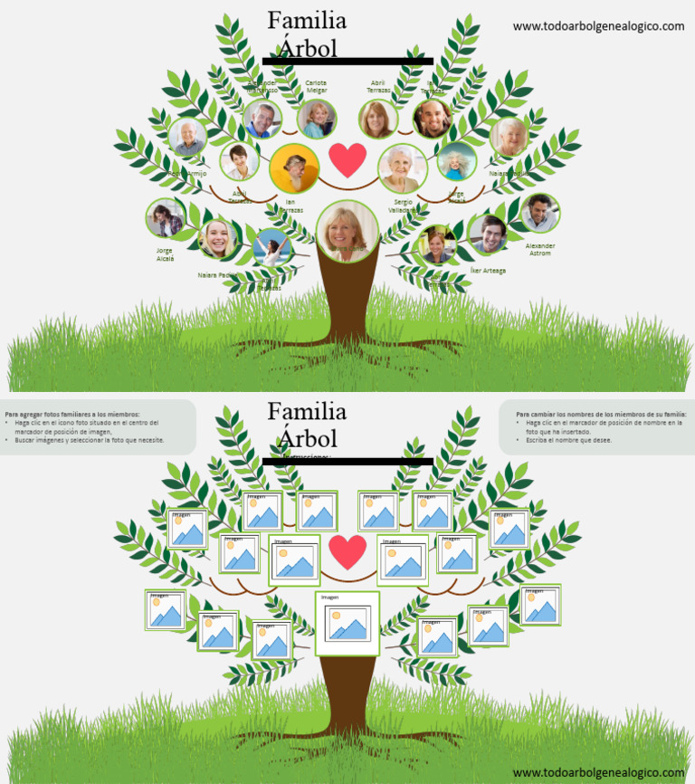 ARBOL GENEALOGICO | PDF