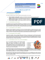 Gua N 3 Circulacin en vertebrados (2)