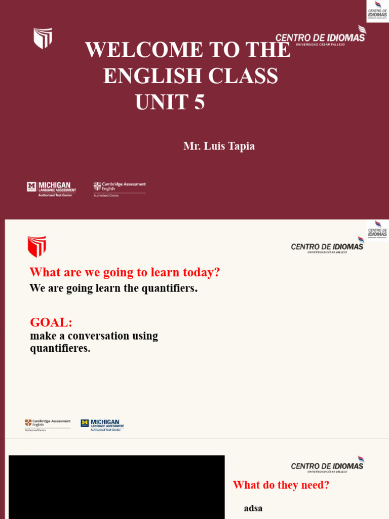 Mastering Quantifiers in English Class | PDF | Linguistics | Languages
