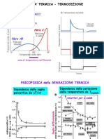 2 - Sensibilit Termica e Dolorifica