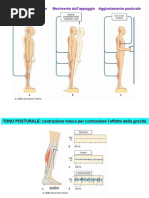 7 - Controllo Della Postura