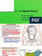 03 Bassin Osseux