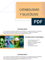 MONITORIA CATABOLISMO Y GLUCÓLISIS (Autoguardado)