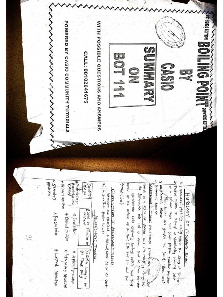 Bot 111 Summary | PDF
