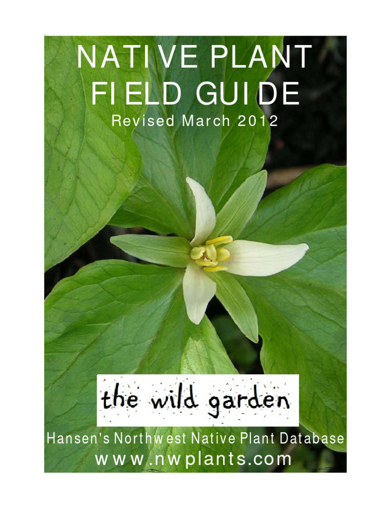 Native Plant | PDF | Lilium | Onion